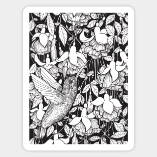 Hummingbird and fuchsia Magnet